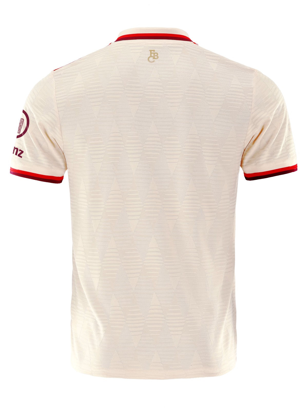 Bayern Munich 24/25 Third Kit